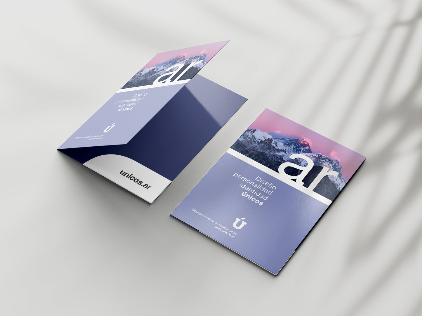 Diseño de Carpeta Institucional